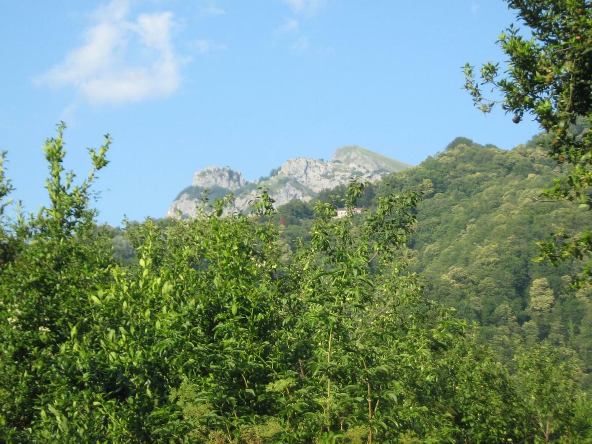 Vila Casa Emilia Stazzema Exteriér fotografie